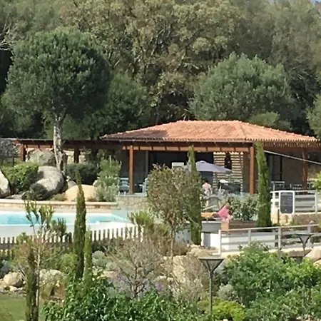 Bright In Porto-vecchio Near شقة *